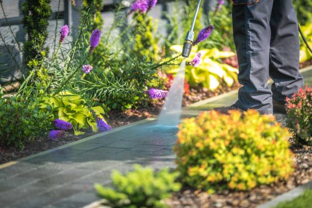 Best Sidewalk and Walkway Pressure Cleaning in Greentown, IN
