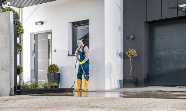 Best Soft Washing for Delicate Surfaces in Greentown, IN